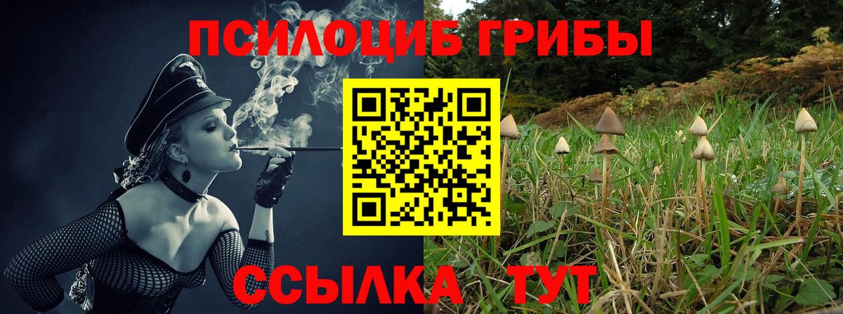 Пыть-Ях  Галлюциногенные грибы прущие грибы  где купить наркоту  Вход с VPN  Галлюциногенные грибы MAGIC MUSHROOMS 